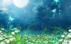 你都有些什么本事